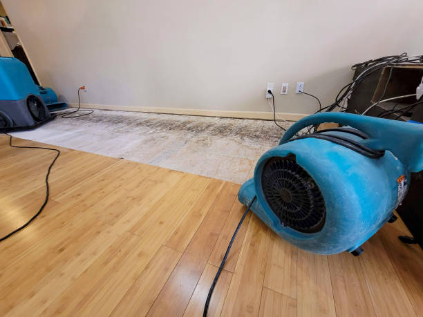 Professional Burst Pipe Water Damage technician working in Tyler, MN